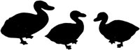 SLH111E.TIF