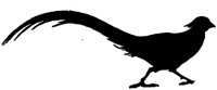 SMR031G.TIF