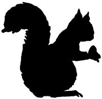 SMR028F.TIF