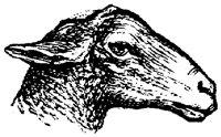 EAC011C.TIF