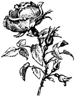 EAC003E.TIF