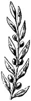 EAC003C.TIF