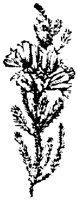 EAC001I.TIF