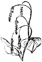 EAC001F.TIF