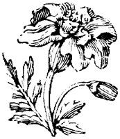 EAC001EE.TIF
