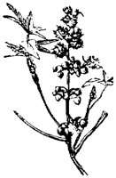 EAC001D.TIF