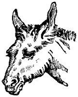 EAC015F.TIF