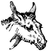 EAC015D.TIF