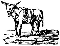 EAC015C.TIF
