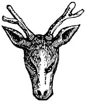EAC013D.TIF