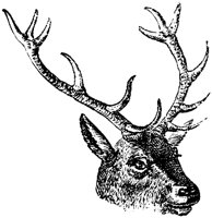 EAC013C.TIF