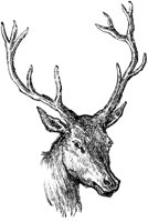 EAC013A.TIF