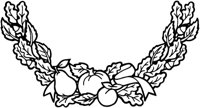 IHO023J.TIF