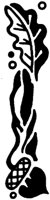 IHO022E.TIF