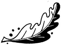 IHO021G.TIF