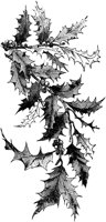 OXM005F.TIF