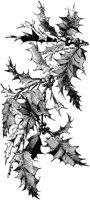 OXM005E.TIF