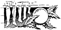 OXM002T.TIF