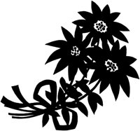 SXM006A.TIF