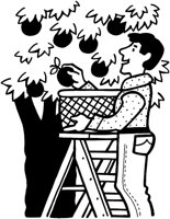 HFS022C.TIF