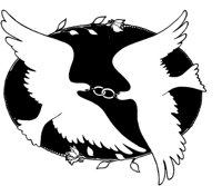 IWD027A.TIF