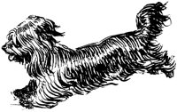 IGB021C.TIF