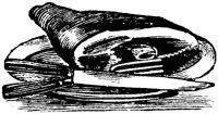 OED016I.TIF