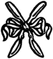 OED015M.TIF