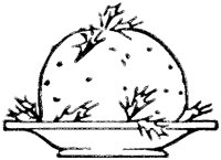 OED011M.TIF