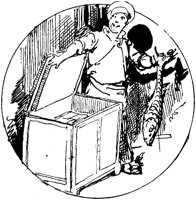 OED009H.TIF