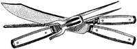 OED032B.TIF