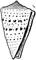 NAU030L.TIF