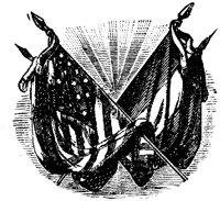OPT019D.TIF