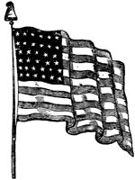 OPT015B.TIF
