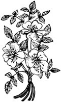 ROM031K.TIF