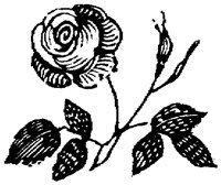 ROM028G.TIF