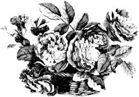 ROM028C.TIF