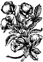 ROM025C.TIF
