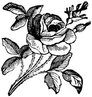 ROM016F.TIF