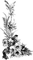 ROM012H.TIF