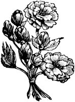 ROM009D.TIF