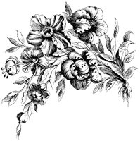 ROM002C.TIF