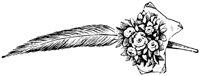 ROM001J.TIF