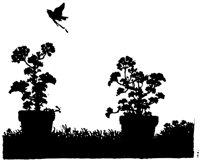 MSL076D.TIF