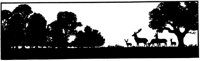 OFS041J.TIF