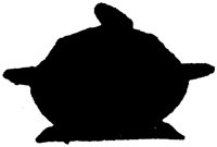 OTS071S.TIF