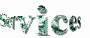 SERV~192.GIF