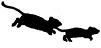 SMR011G.TIF