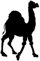 SMR005J.TIF