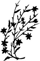 SMR002C.TIF